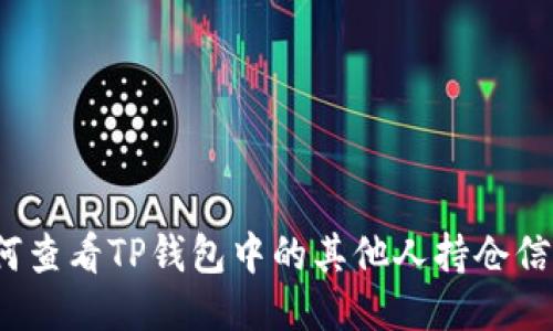 如何查看TP钱包中的其他人持仓信息？