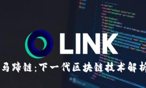 马蹄链：下一代区块链技术解析