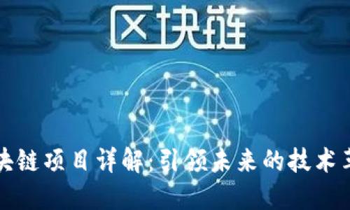 区块链项目详解：引领未来的技术革命