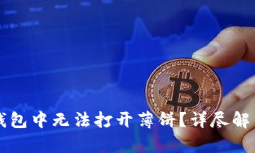 为什么在TP钱包中无法打开薄饼？详尽解析及解决方案
