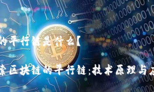 区块链的平行链是什么？

深入探索区块链的平行链：技术原理与应用前景