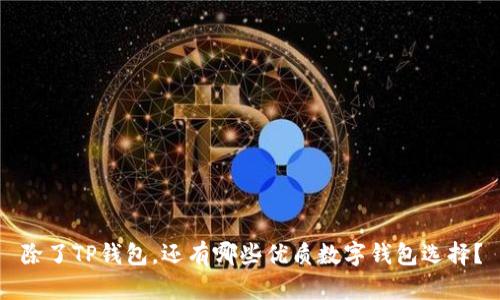 除了TP钱包，还有哪些优质数字钱包选择？