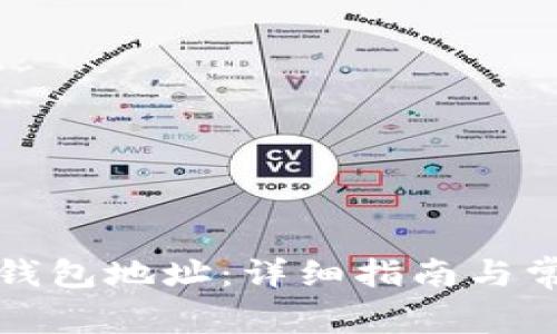 如何找回TP钱包地址：详细指南与常见问题解答