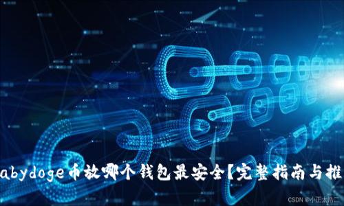 Babydoge币放哪个钱包最安全？完整指南与推荐