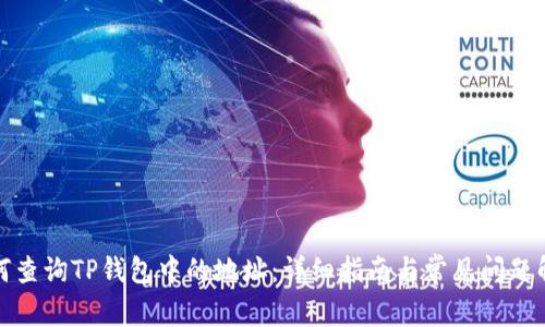 如何查询TP钱包中的地址：详细指南与常见问题解答