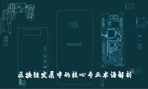 区块链发展中的核心专业术语解析