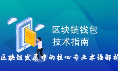 区块链发展中的核心专业术语解析