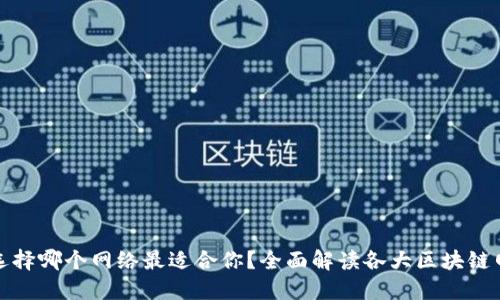 TP钱包选择哪个网络最适合你？全面解读各大区块链网络对比
