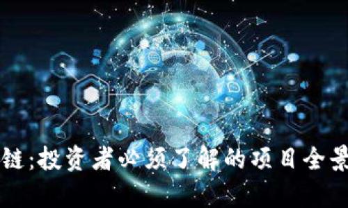 区块链：投资者必须了解的项目全景分析
