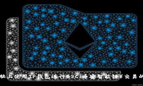 如何在电脑上使用TP钱包进行BSC（币安智能链）交易的完整指南