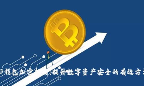 tP钱包加密指南：提升数字资产安全的有效方法