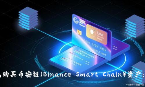如何通过TP钱包购买币安链（Binance Smart Chain）资产：详细步骤与指南