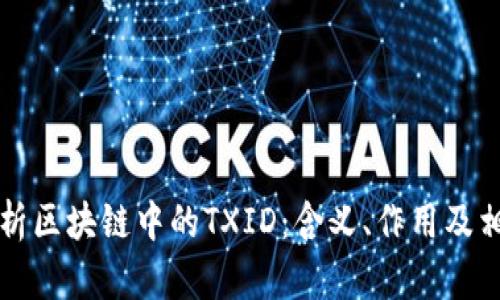 深入解析区块链中的TXID：含义、作用及相关问题