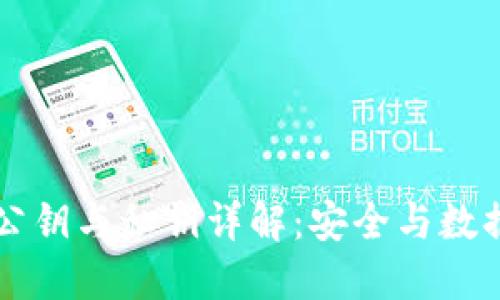 区块链中的公钥与私钥详解：安全与数据隐私的核心