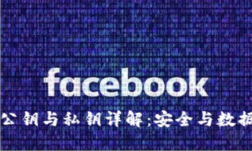 区块链中的公钥与私钥详解：安全与数据隐私的核心