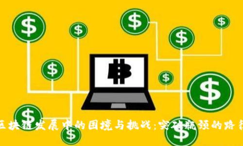 优质区块链发展中的困境与挑战：突破瓶颈的路径探讨
