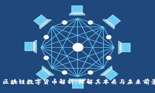  区块链数字货币解析：理解其本质与未来前景