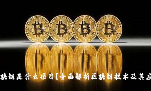 区块链是什么项目？全面解析区块链技术及其应用