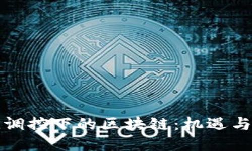 宏观调控下的区块链：机遇与挑战