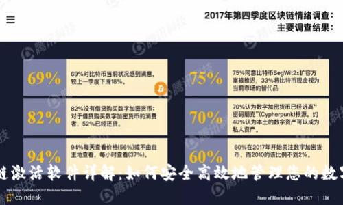 区块链激活软件详解：如何安全高效地管理您的数字资产