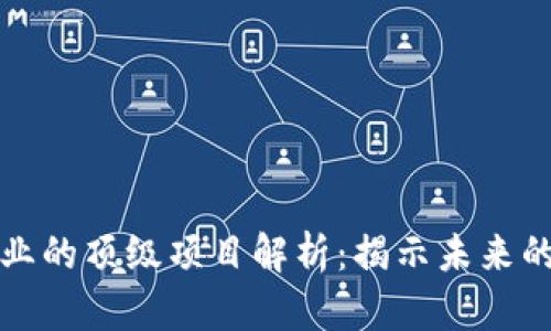 区块链行业的顶级项目解析：揭示未来的行业先锋