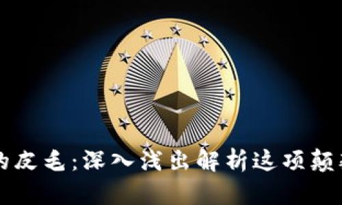 区块链的皮毛：深入浅出解析这项颠覆性技术