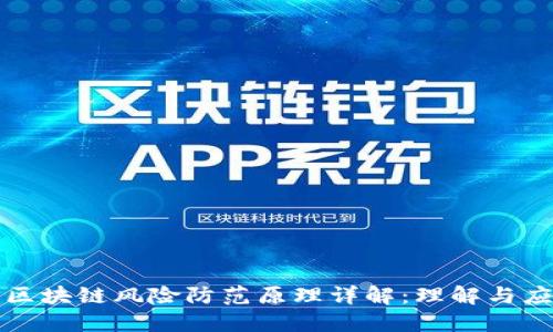 : 区块链风险防范原理详解：理解与应用
