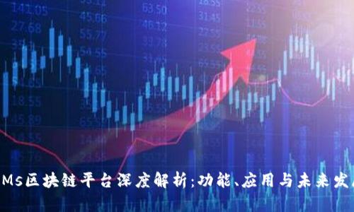 NMs区块链平台深度解析：功能、应用与未来发展