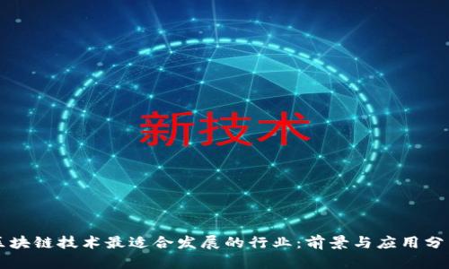 区块链技术最适合发展的行业：前景与应用分析