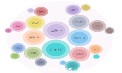  
区块链技术中的DNC：定义、应用与未来展望