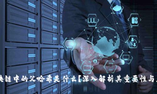 区块链中的父哈希是什么？深入解析其重要性与应用