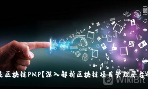 什么是区块链PMP？深入解析区块链项目管理平台的未来