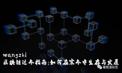 wangzhi
区块链过冬指南：如何在寒冬中生存与发展