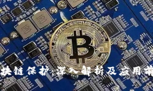 区块链保护：深入解析及应用前景
