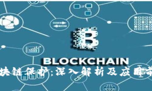区块链保护：深入解析及应用前景