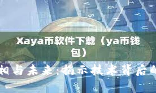 区块链的真相与未来：揭示技术背后的潜力与挑战