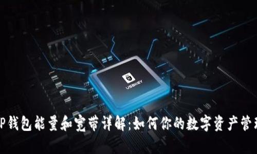 TP钱包能量和宽带详解：如何你的数字资产管理