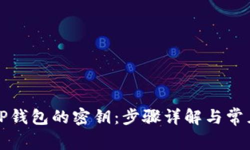 如何查看TP钱包的密钥：步骤详解与常见问题解答