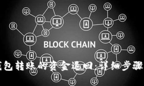 如何将TP钱包转账的资金退回：详细步骤与注意事项