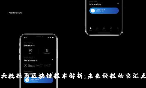 大数据与区块链技术解析：未来科技的交汇点